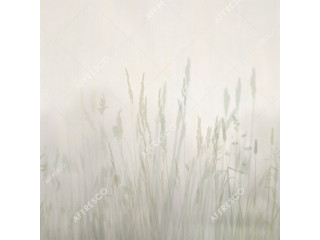 Фотообои и фрески Affresco Trend Art ZK420-COL3