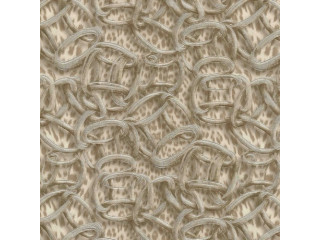 Обои Emiliana Parati Roberto Cavalli 7 RC18017