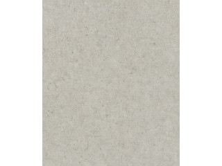 Обои Rasch Baltesto 520859