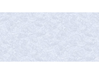 Обои Бернардо Барталуччи Карлотта 84216-1