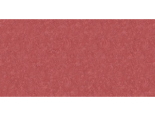 Обои Бернардо Барталуччи Карлотта 84217-14