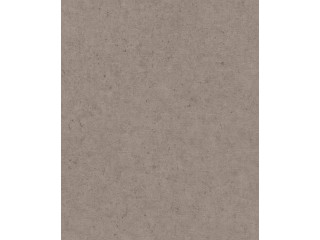 Обои Rasch Baltesto 520873