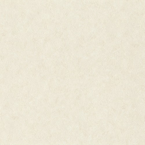 Обои Rasch Factory Style 947649