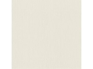 Обои Rasch Metall Spirit 977219
