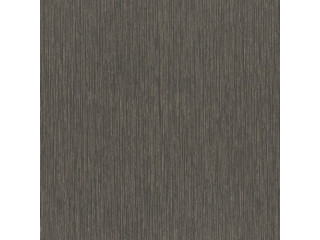 Обои Rasch Metall Spirit 977318