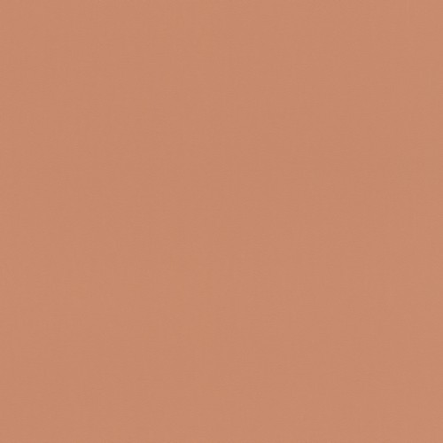 Обои Rasch Salsa 807608